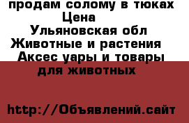 продам солому в тюках › Цена ­ 25 - Ульяновская обл. Животные и растения » Аксесcуары и товары для животных   